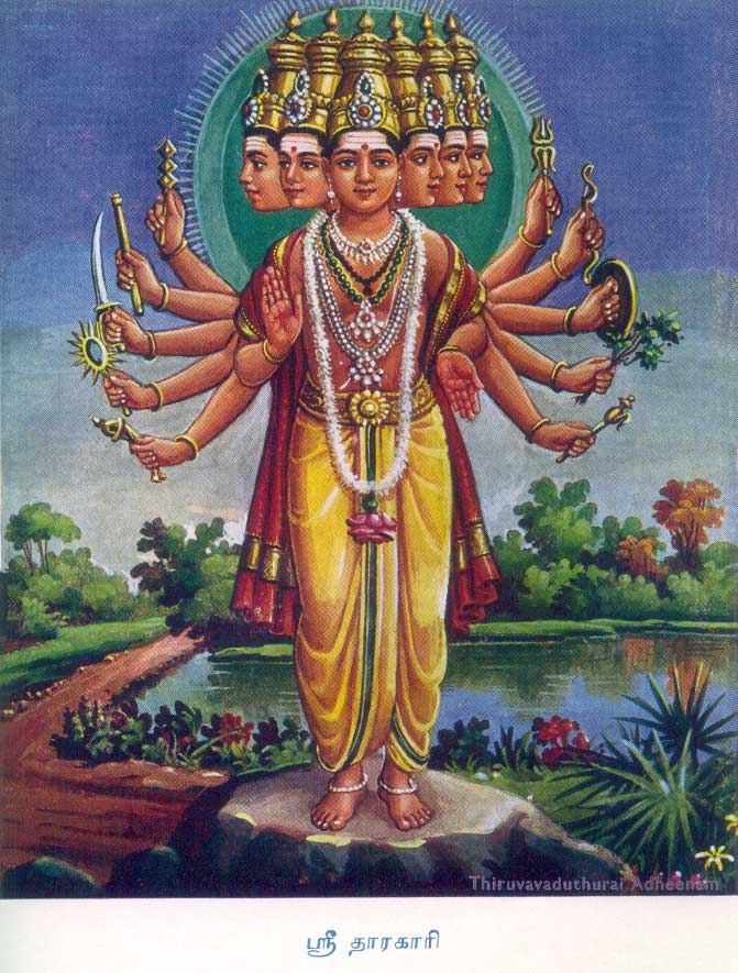 Murugan Tarakari