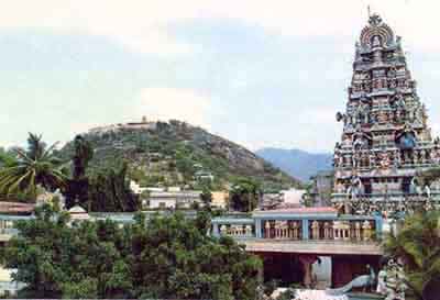 Tiruvavinankudi Temple with Palani Malai in background (18kb)