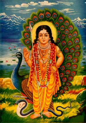 Bala Subramaniyan