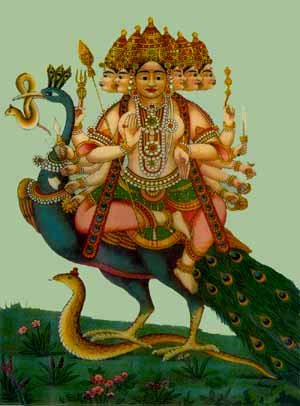 Shanmuga Subramaniyan