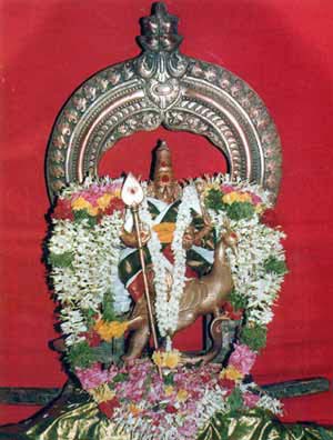 Tiruavinankudi Utsavar